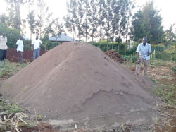 Construction soil